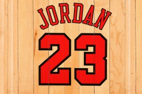 开云登录入口-谢震业状态火爆，全锦赛季后赛对阵菲尼克斯太阳，明尼苏达森林狼力争零封